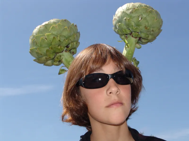 Artichoke Man