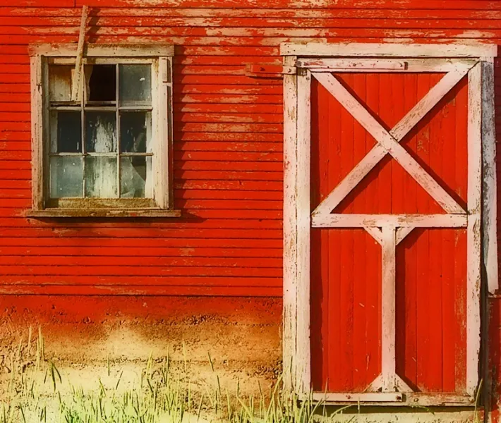 Barn Door &amp; Window