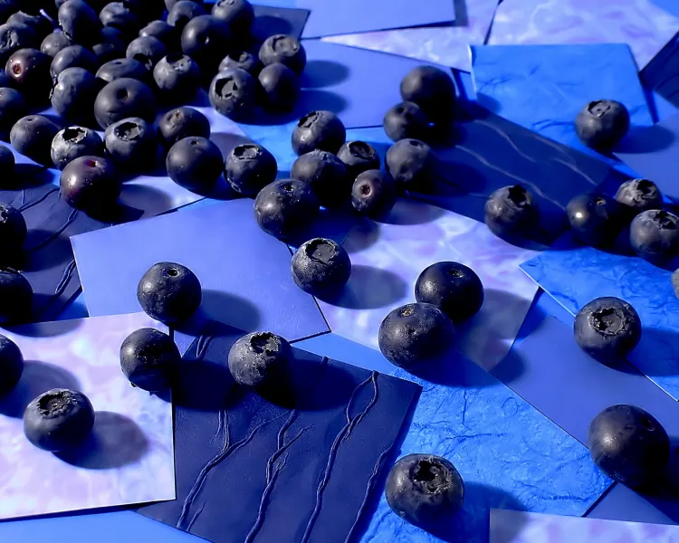 Spilled Blueberries