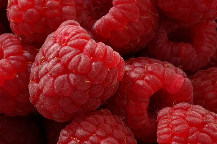 Raspberries
