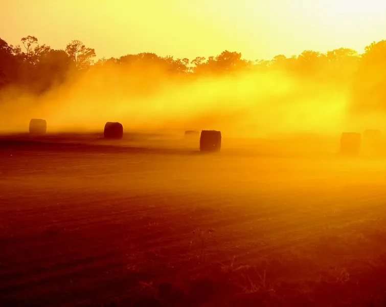 The Way the Wind Blows