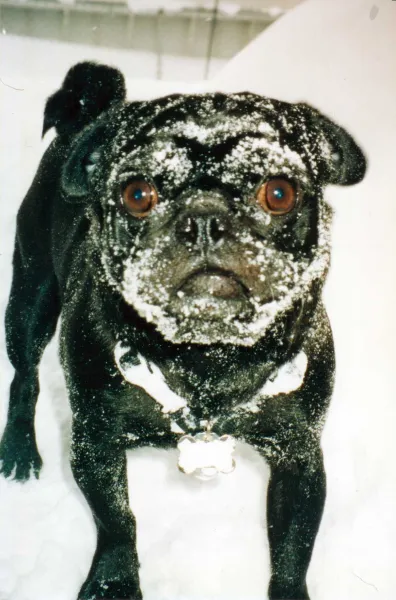 Who put that snowbank there?