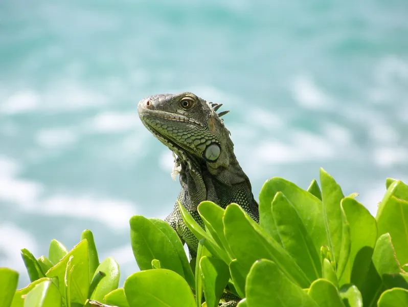 Are you looking for me?