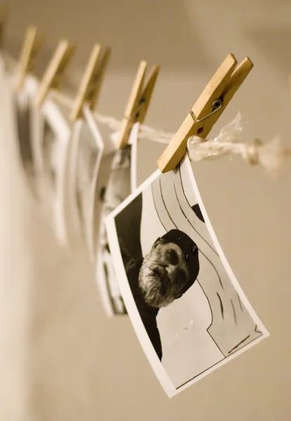 Memories on the Rope