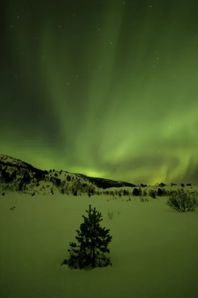 Northern Lights