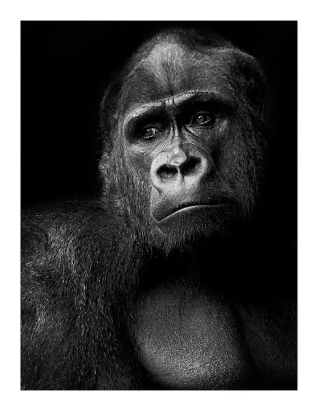 A Long Way from Home