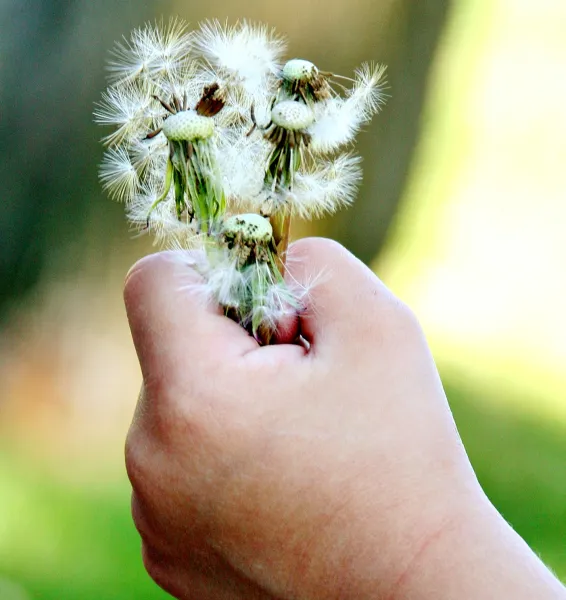 ~W I S H M A K E R S~