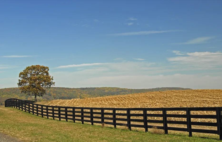 Farmland
