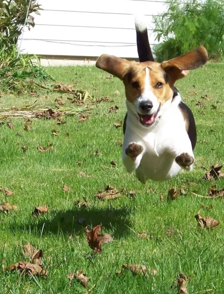 There's no need to fear!!