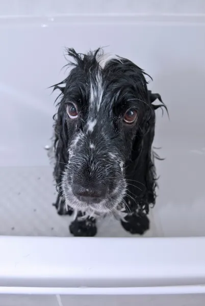 It's hard being beautiful