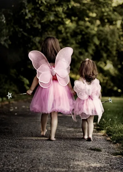 Fairy Sisters
