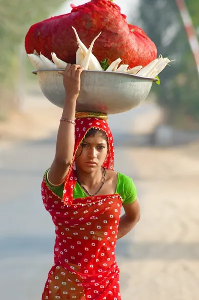 The Beauty of Rajasthan