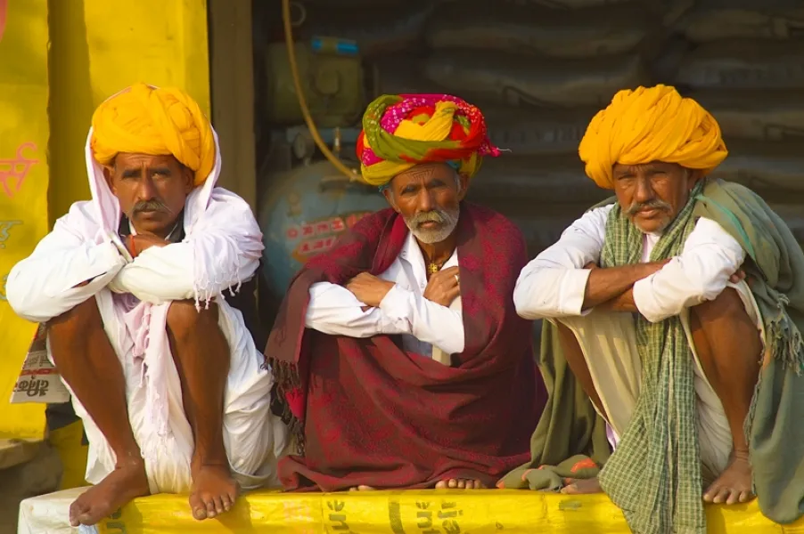 Morning in Rajasthan