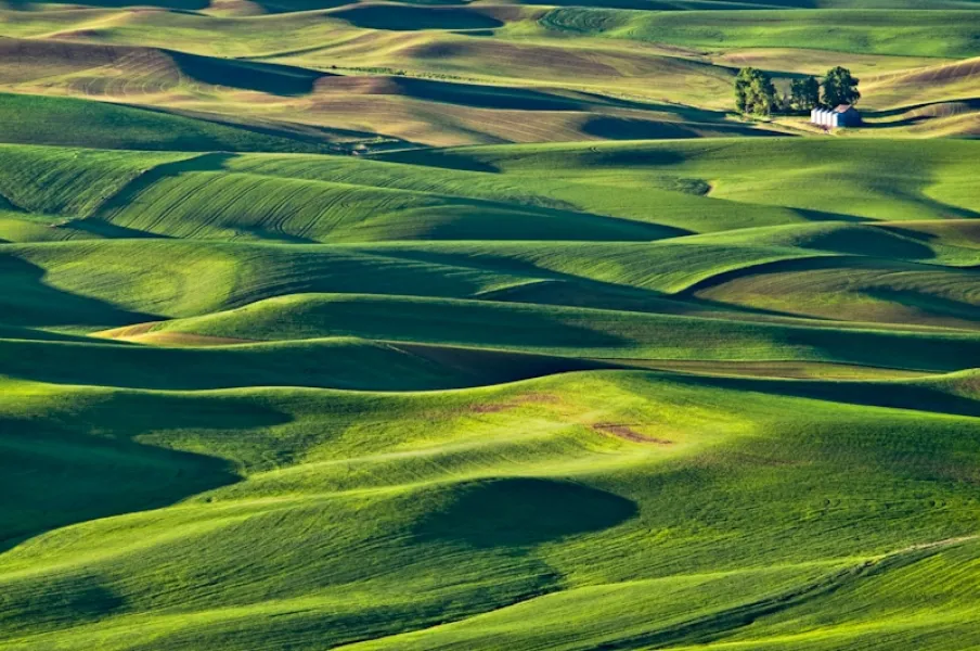 Spring in Palouse