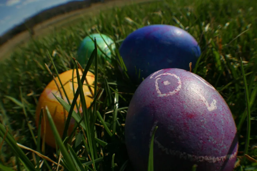 Easter Egg Hunt