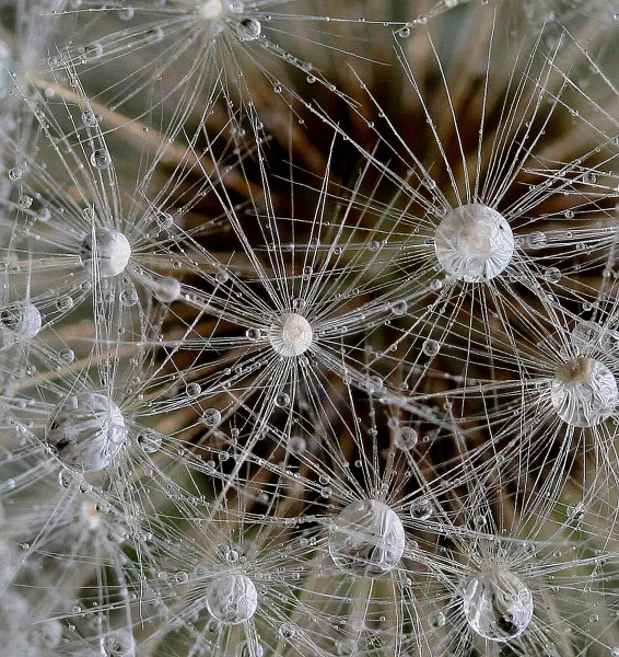 Looks Like Another World