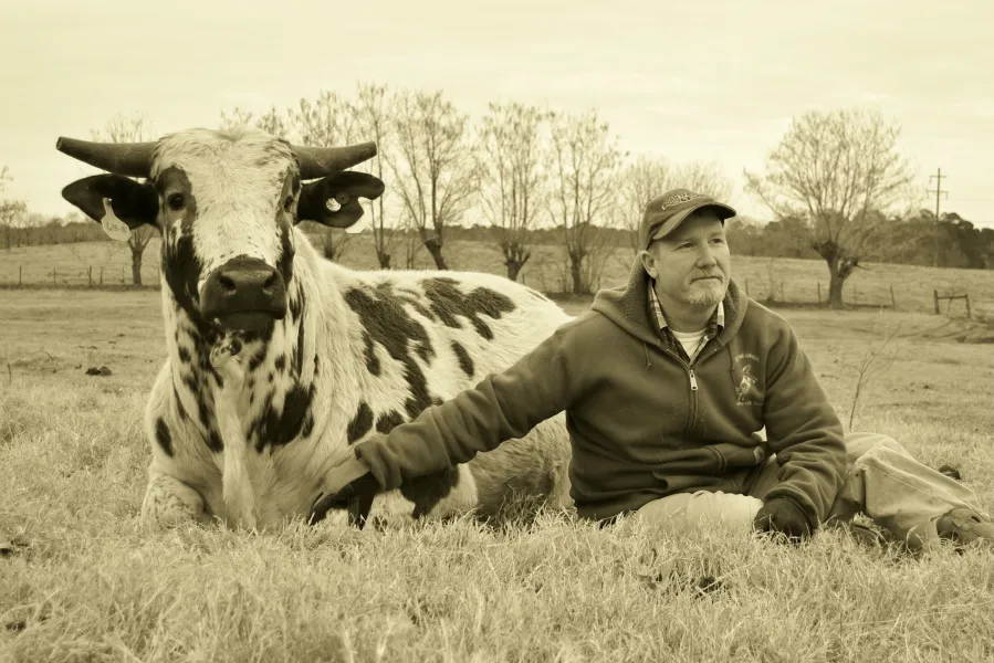 East Texas Puppy Dog