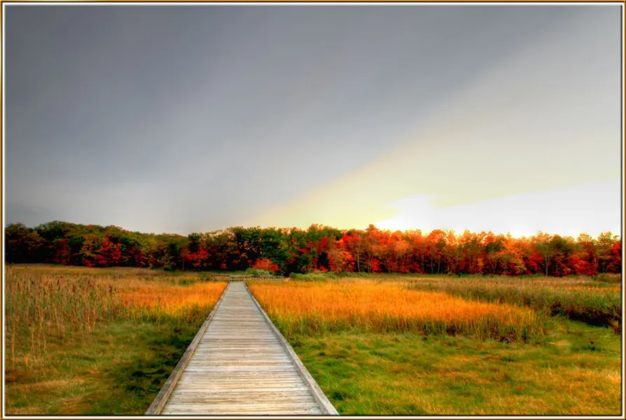 Cheesequake State Park