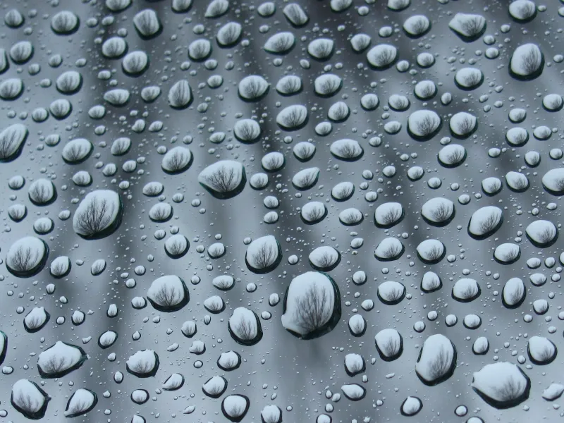 Through Nature's Lens