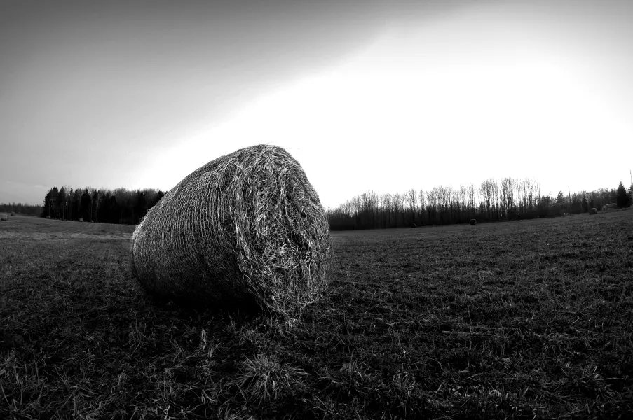 The End of a Farmers Day