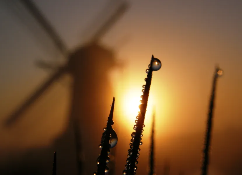 Dutch Mill Reflected