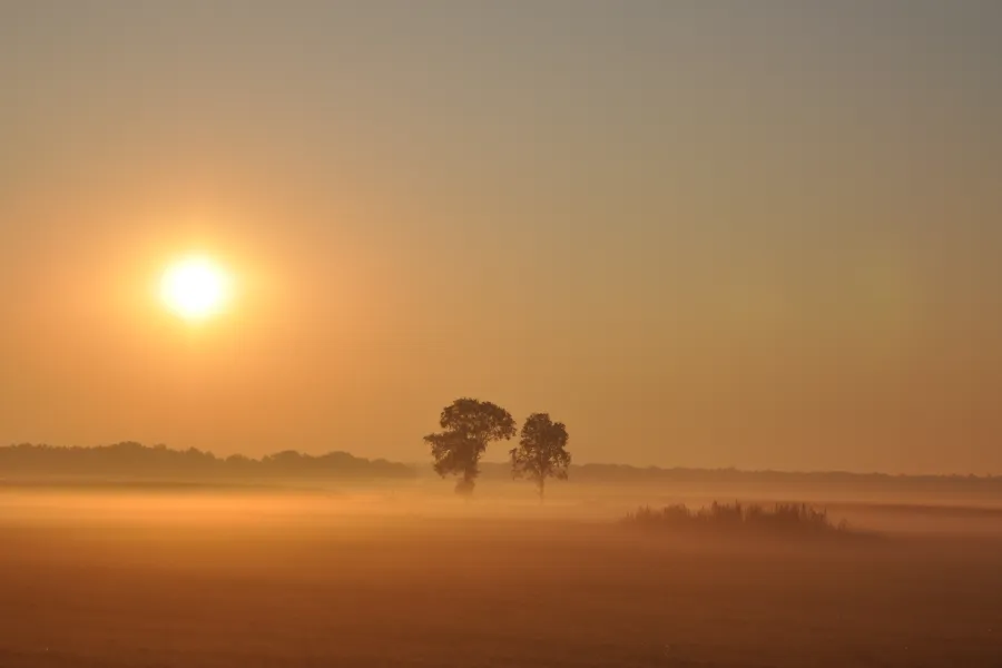 Sunrise with ground fog