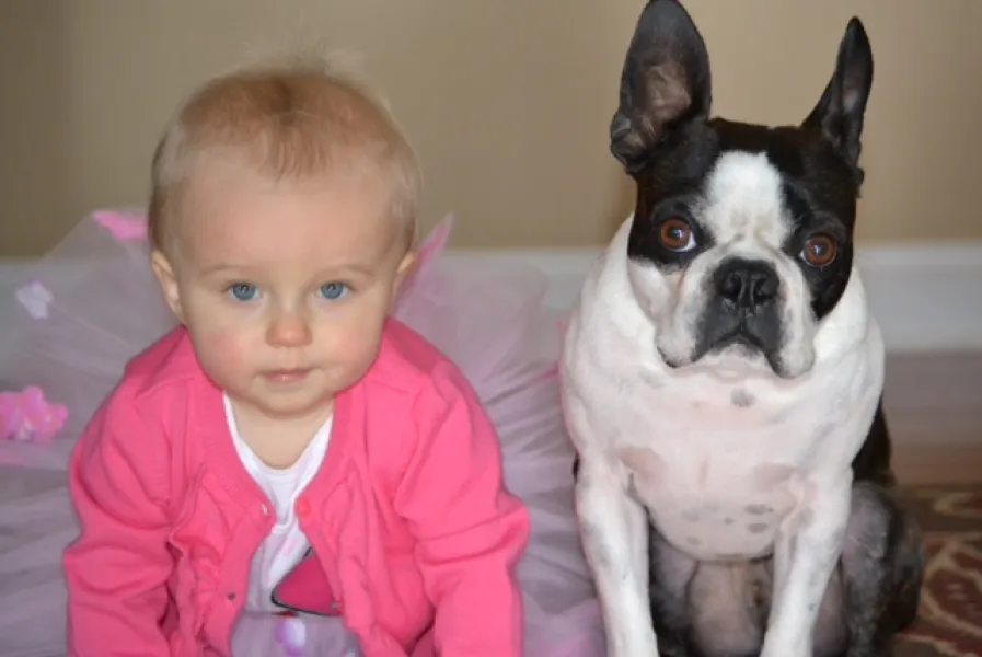 Bella &amp; Billy Best Friend