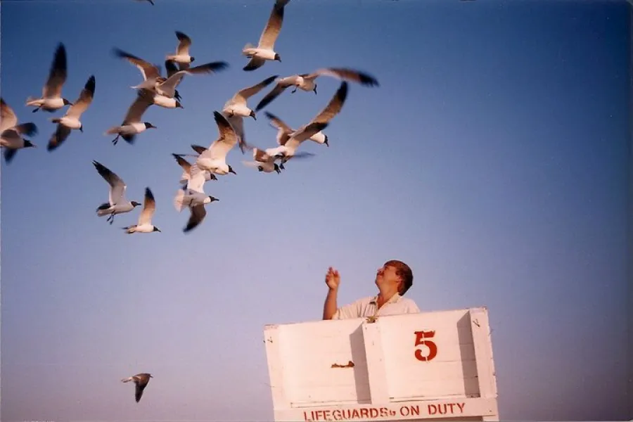 Don't feed the birds....