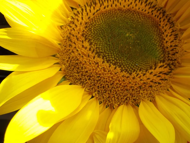 can't beleive i took this