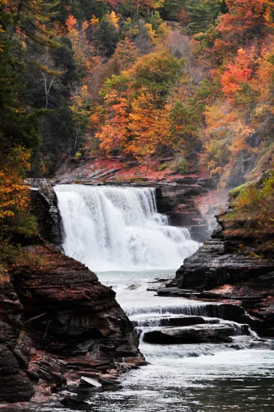 Fall at Letchworth