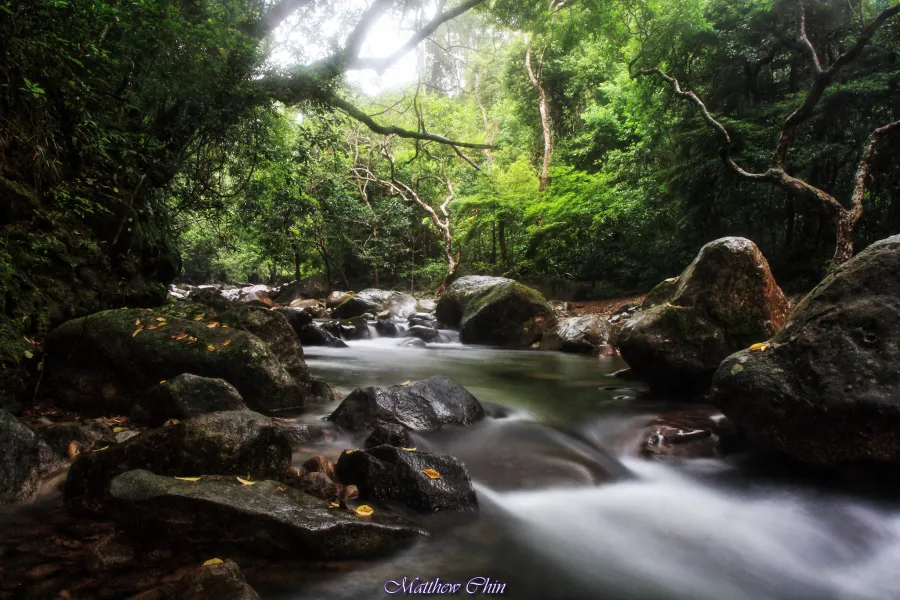 Tai Shing Stream, HK