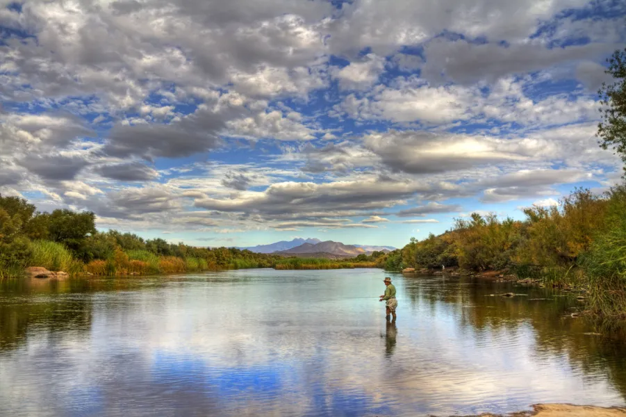 Perfect Fishing Spot