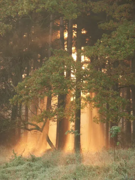 Bohemian Switzerland