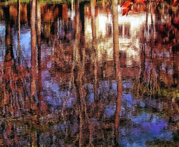 Reflection Of Fall