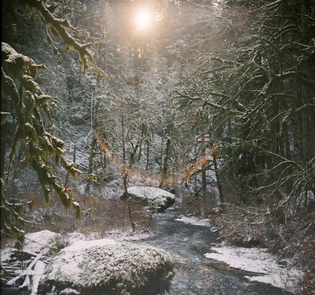 Silver Falls State Park