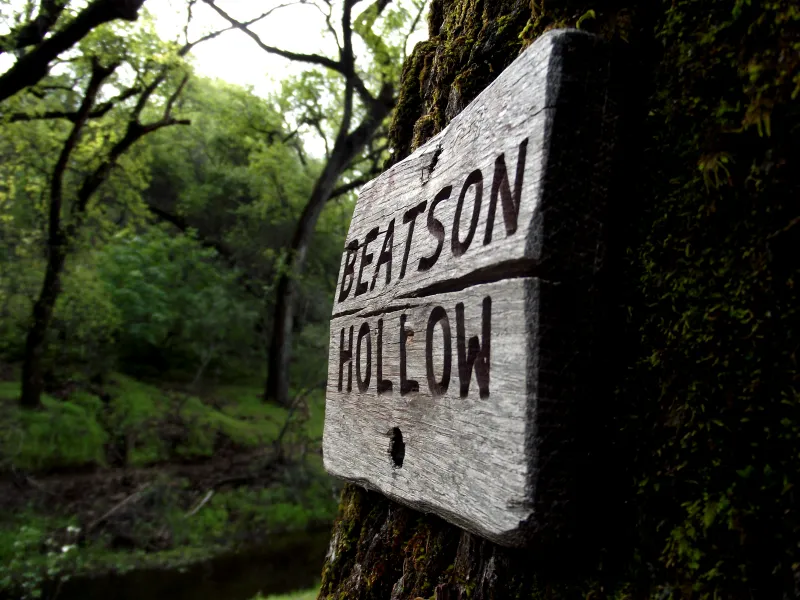 Beatson Hollow