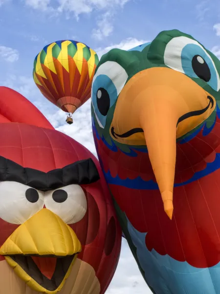 NJ Balloon Festival