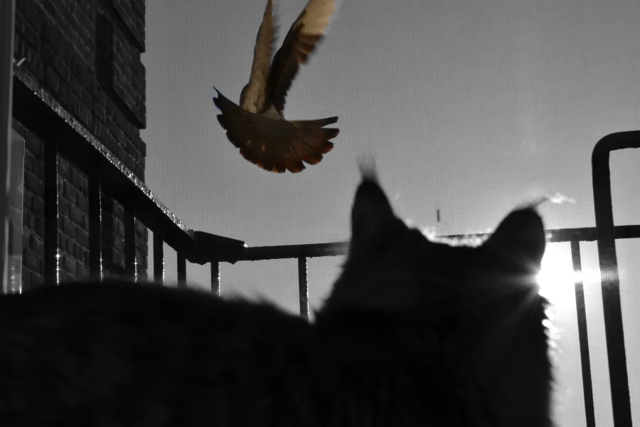 &quot;I missed my chance&quot;