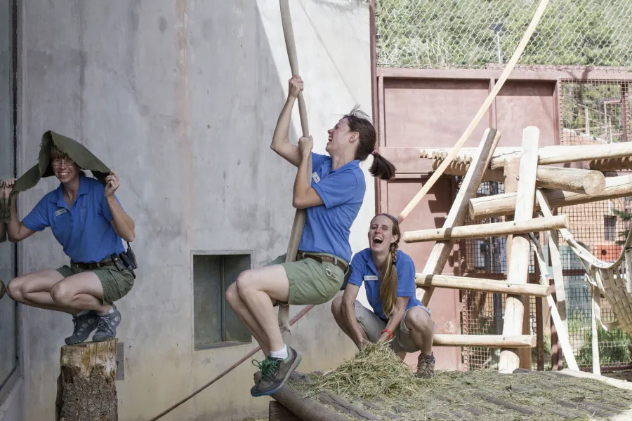 Wild for Wildlife Winner