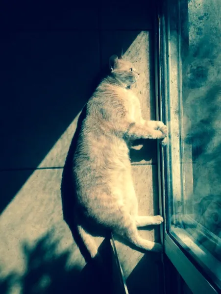 Contemplation reflection