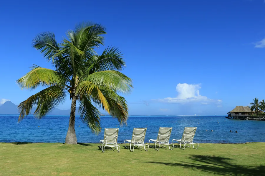 Invitation to Paradise