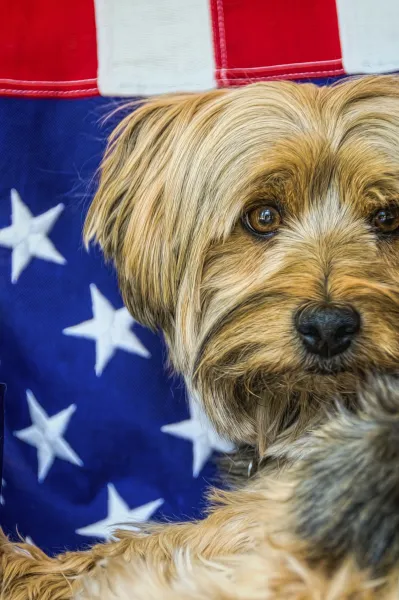 Proud to be an American