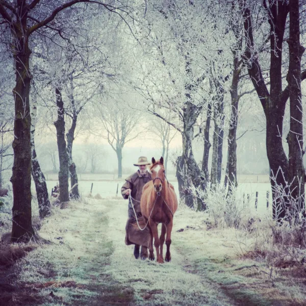 The man with the horse