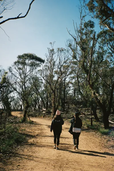 The road less travelled