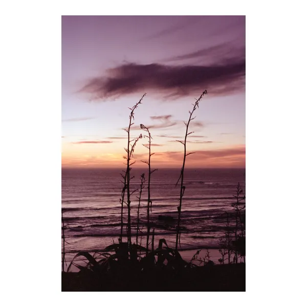 Sunset &amp; tikka masala