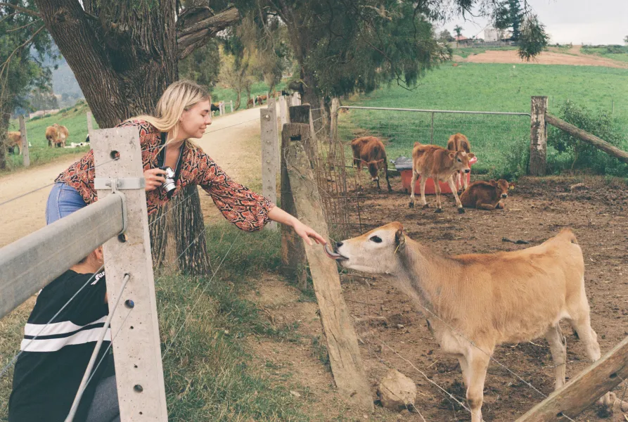 Shan in her natural environment