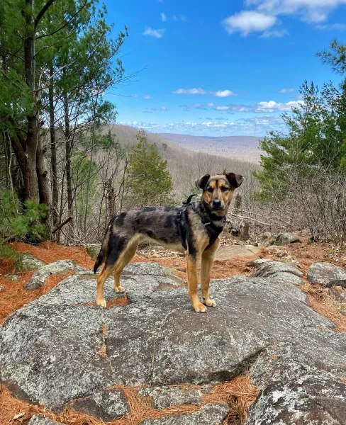 Embarking on a new adventure, one hike at a time