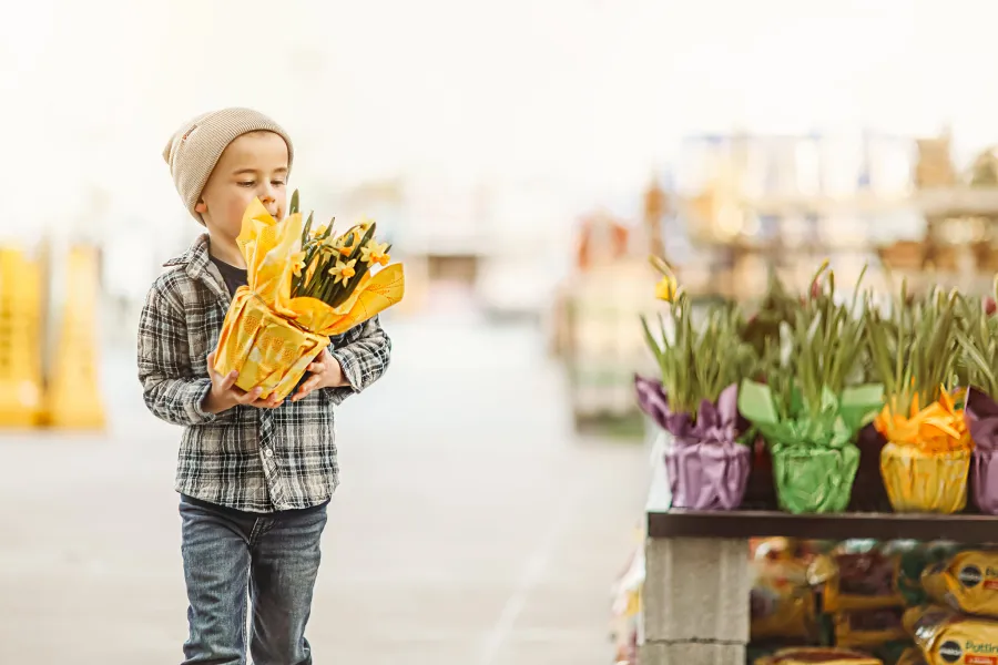 Lowes- Better Than Disney!