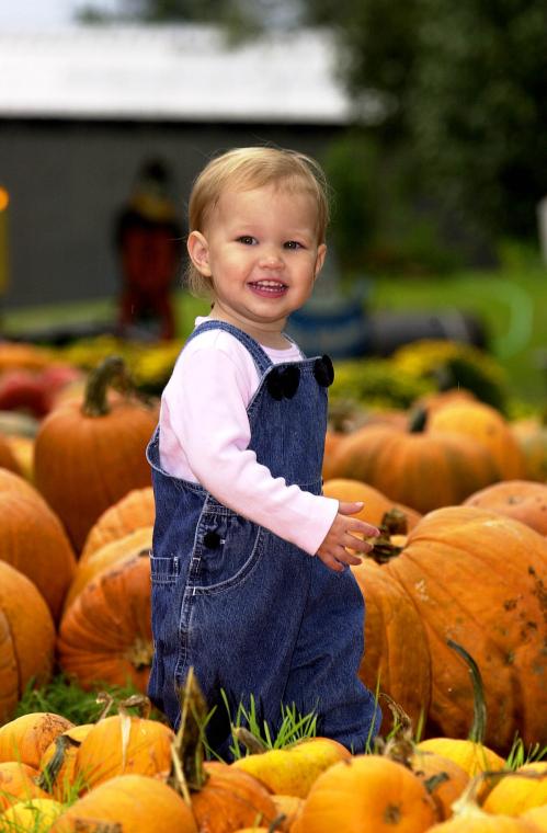 Savannah's Pumpkin Patch