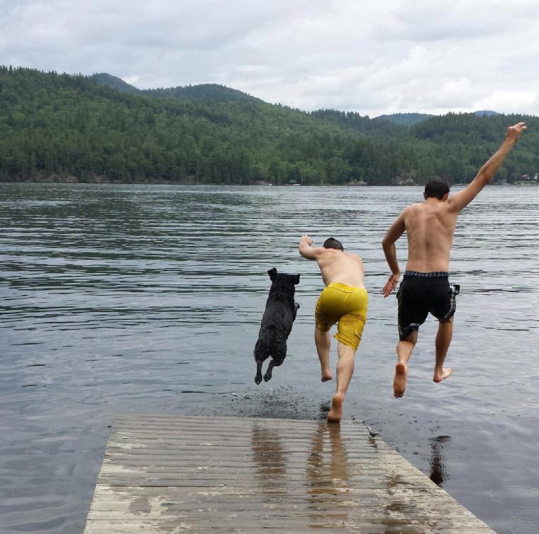 Dog Dock Dive